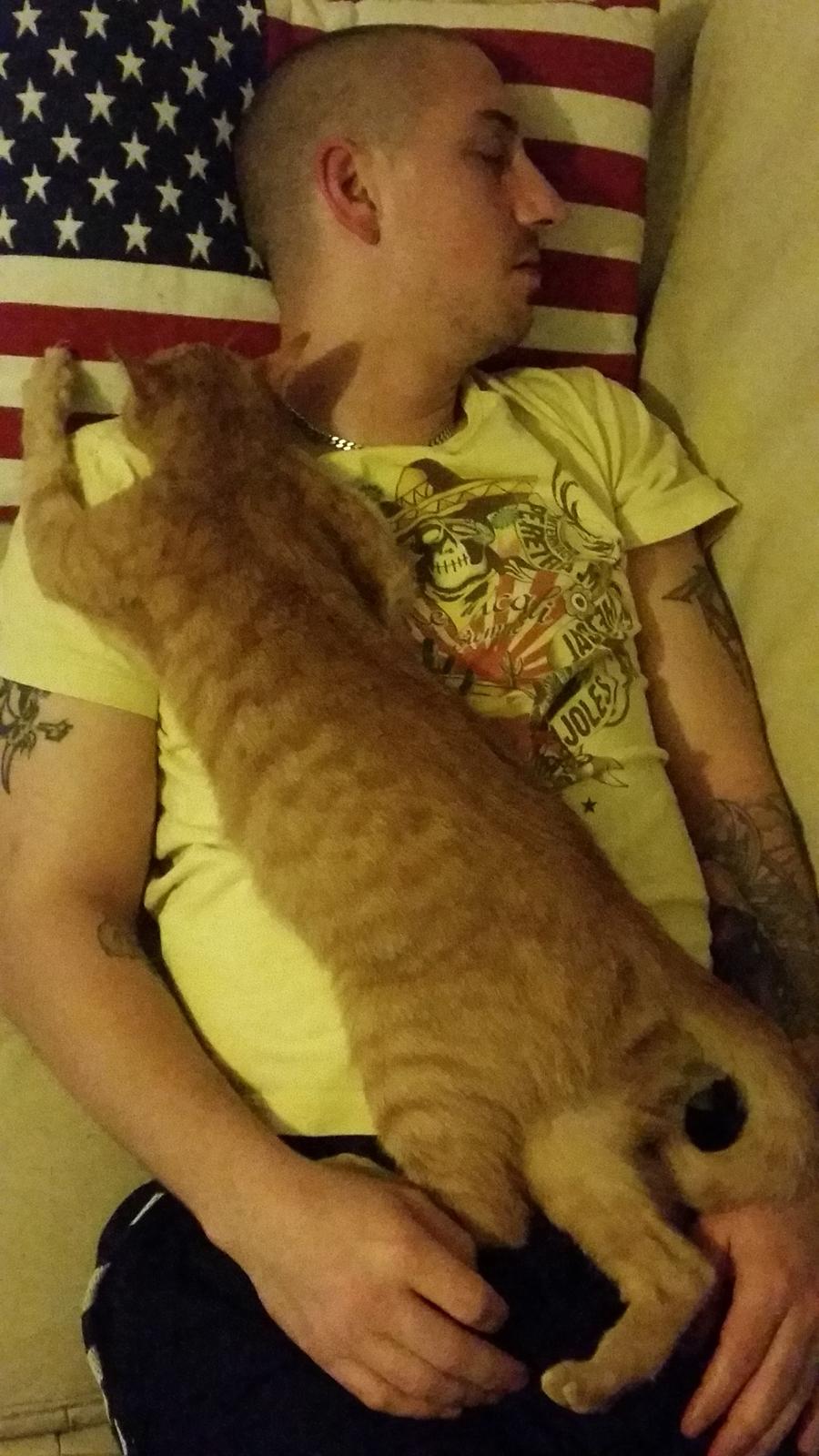 Blanding af racer Bimmer billede 14