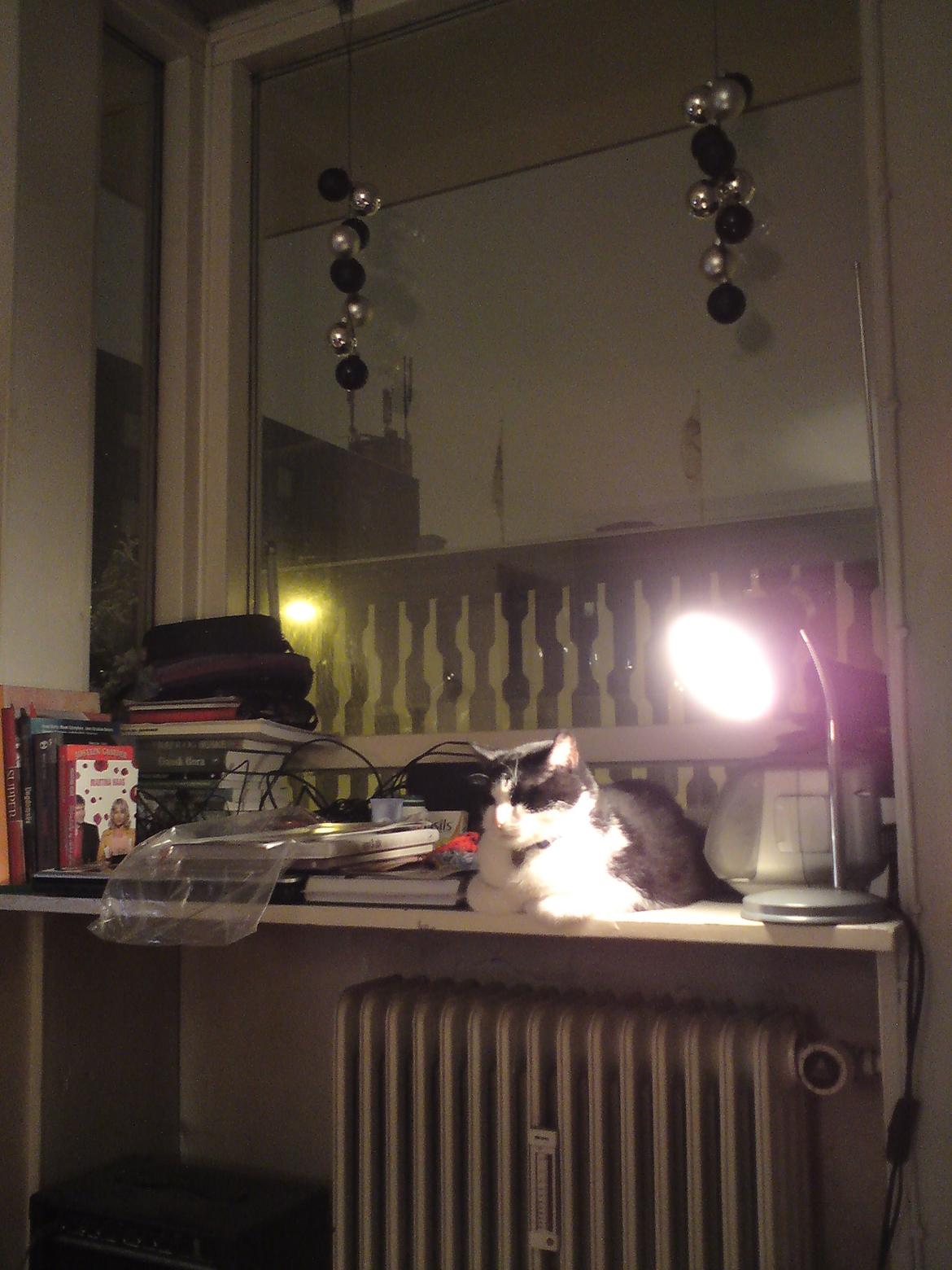 Huskat Tjërno billede 2