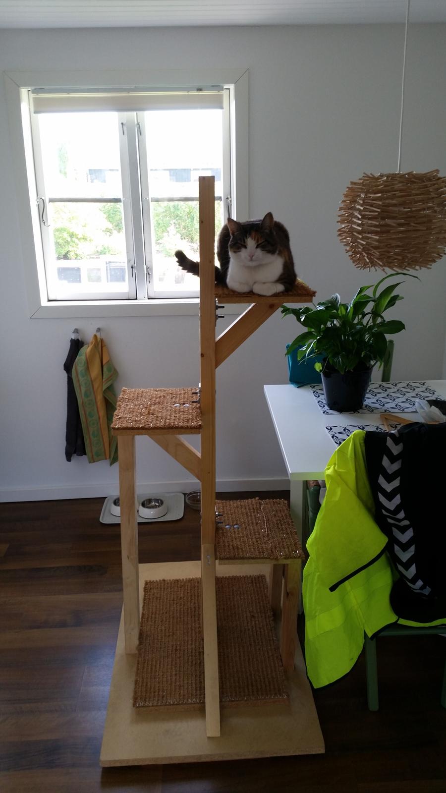 Huskat Chili - Tak for træet far,du mangler bare at beklæde det med sisalreb og så lige montere overkøjen billede 9