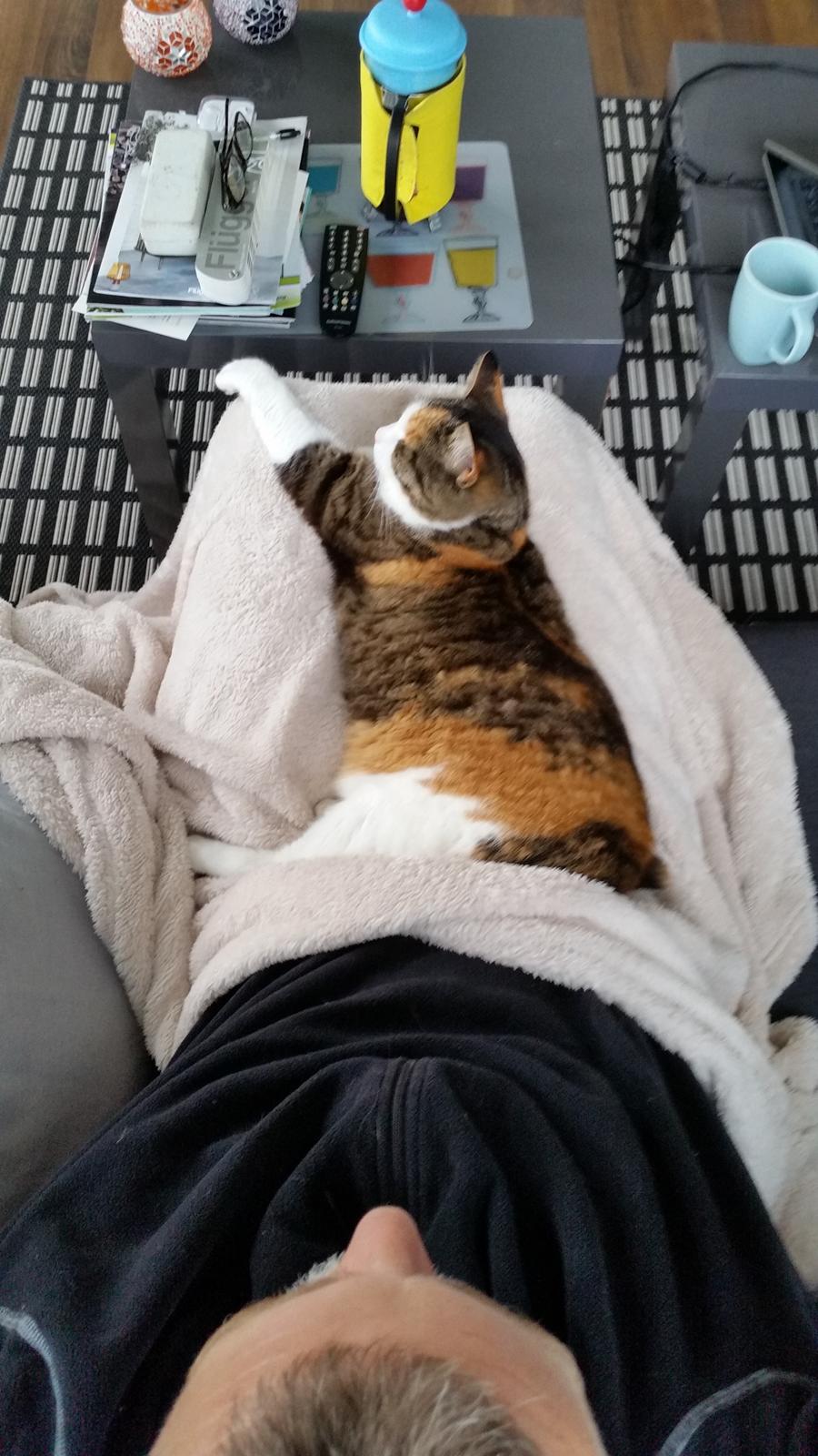 Huskat Chili - morgenhygge med far billede 13