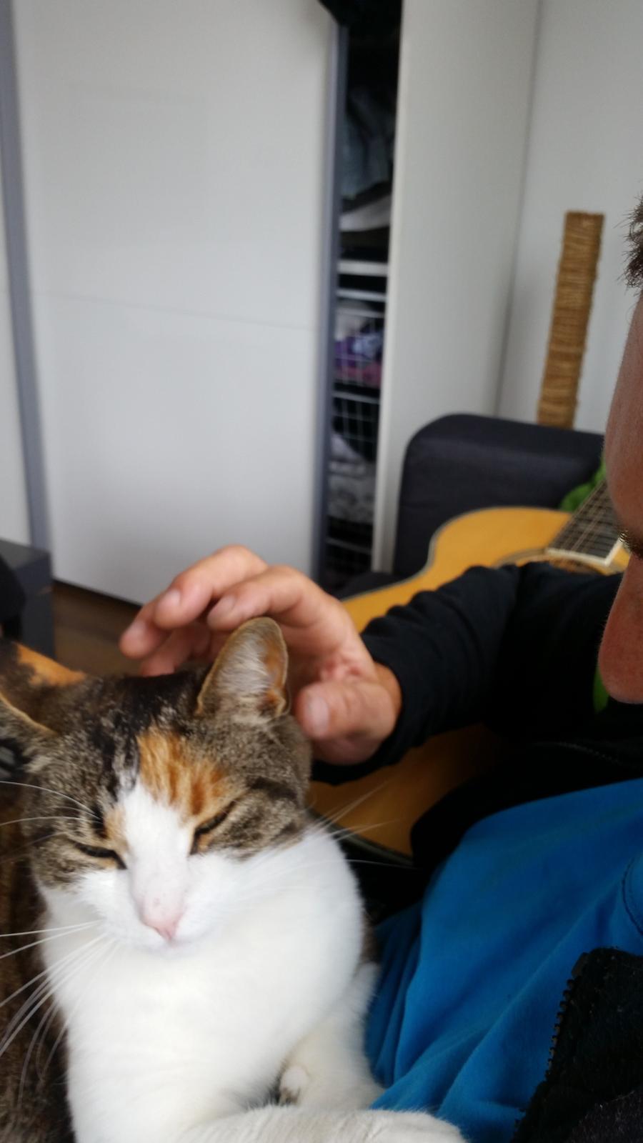 Huskat Chili - så kan du godt tage dig lidt af mig billede 18