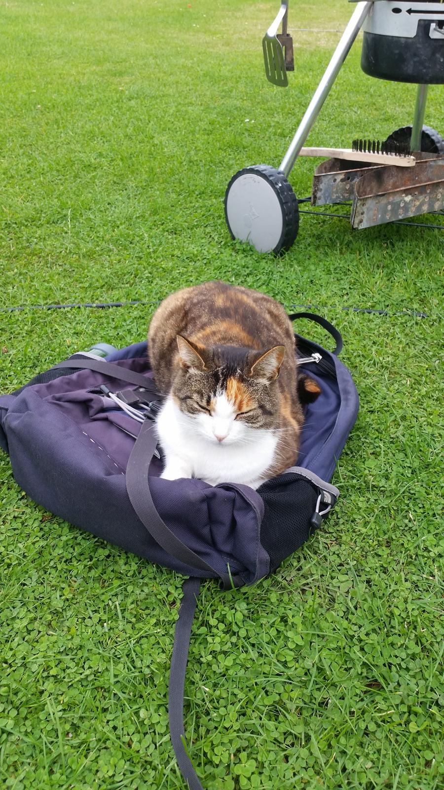 Huskat Chili - ahh fars rygsæk billede 19