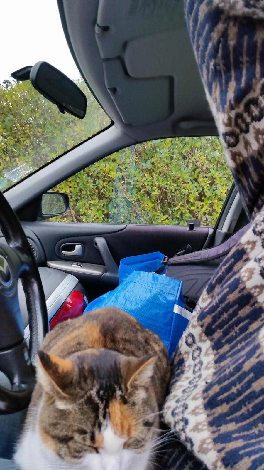 Huskat Chili - kører vi snart eller hva` billede 20