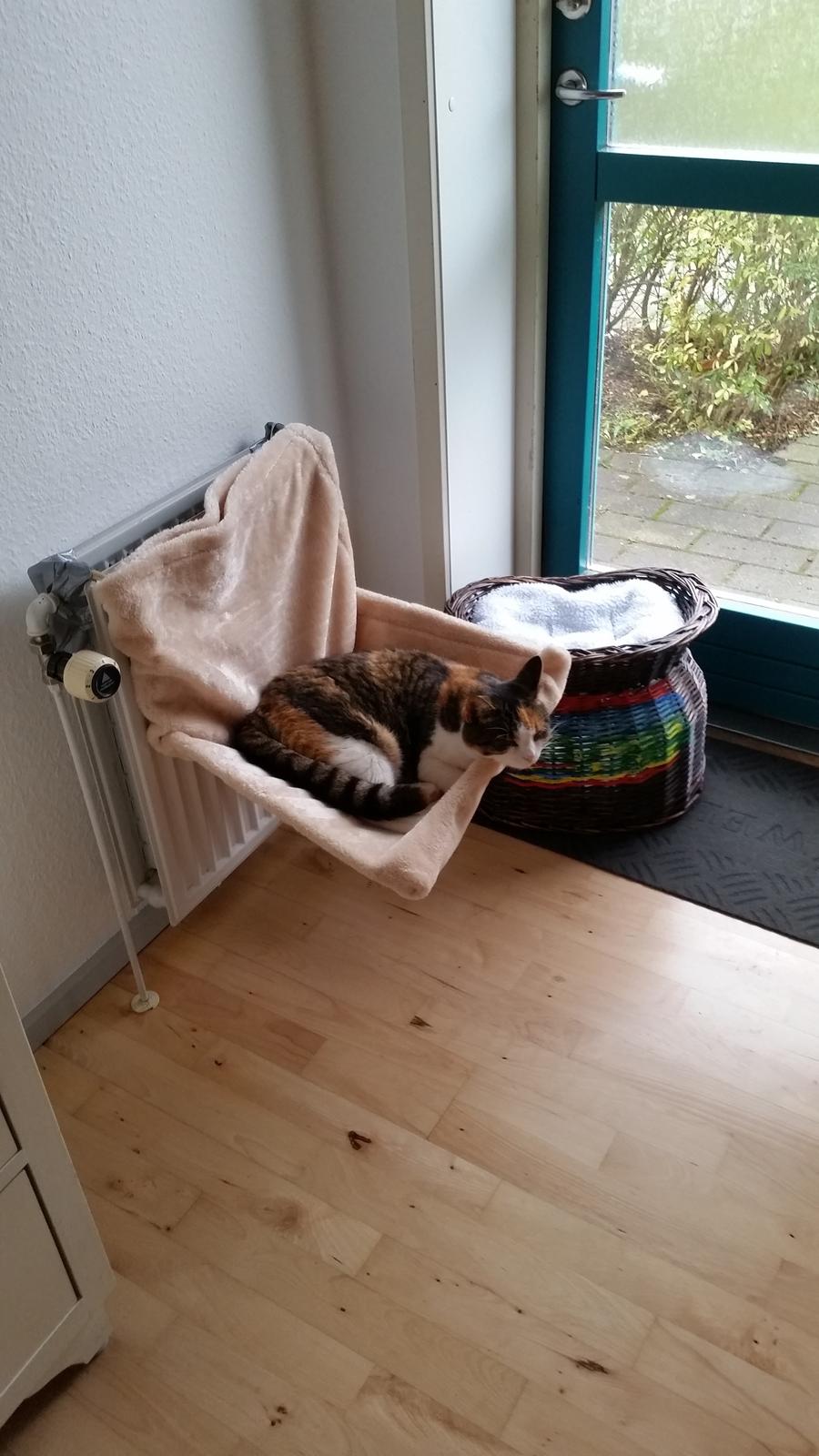 Huskat Chili - absolut et af mine favorit spots billede 21