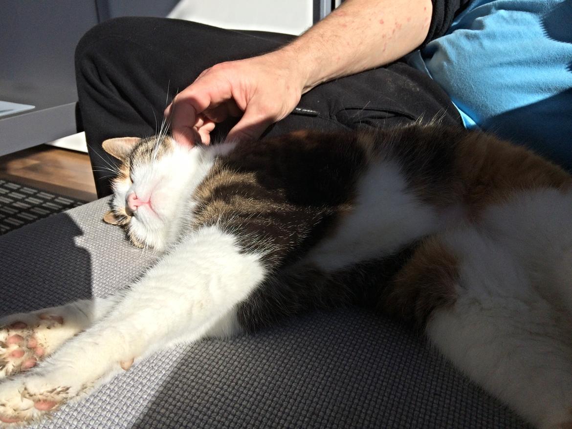 Huskat Chili - nå pyt,jeg glemte at tørre fødderne af på måtten billede 35