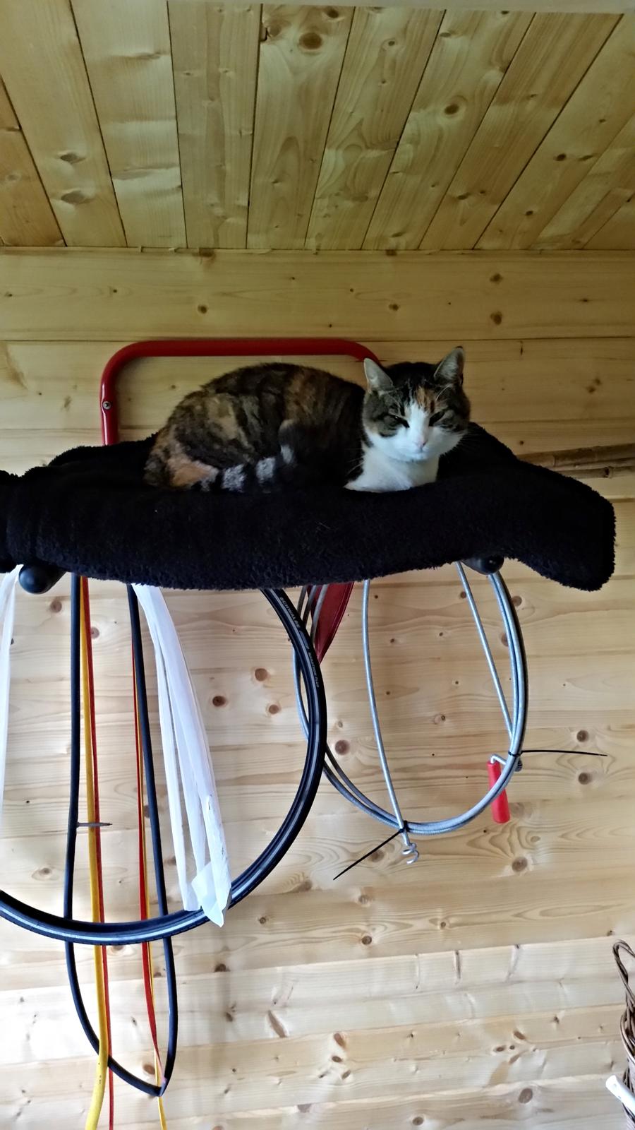 Huskat Chili - endnu et dejligt hvilested i højden billede 16