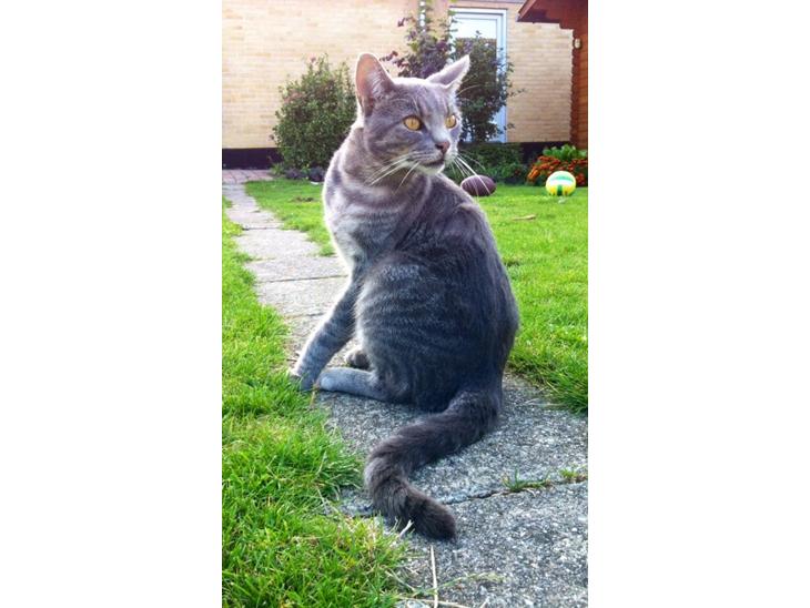 {{currentPhoto.altText}} billede {{currentPhoto.number}}