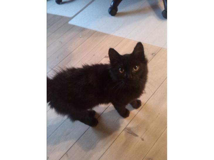 {{currentPhoto.altText}} billede {{currentPhoto.number}}