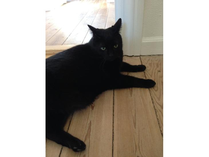 {{currentPhoto.altText}} billede {{currentPhoto.number}}