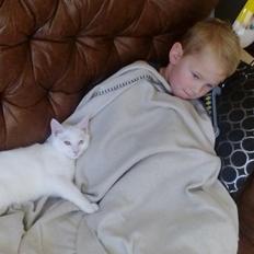 Blanding af racer Kalle