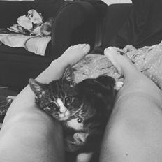 Blanding af racer Tony