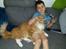 Maine Coon Obi wan kenobi