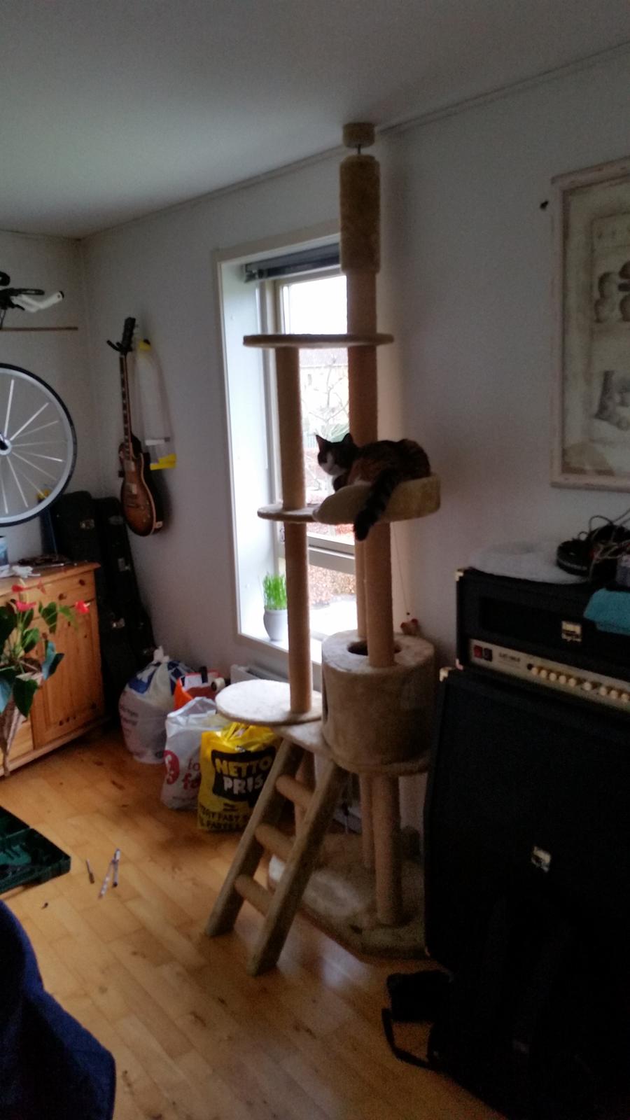 Huskat Chili - Far har samlet mit nye tårn som vi fik helt gratis billede 49