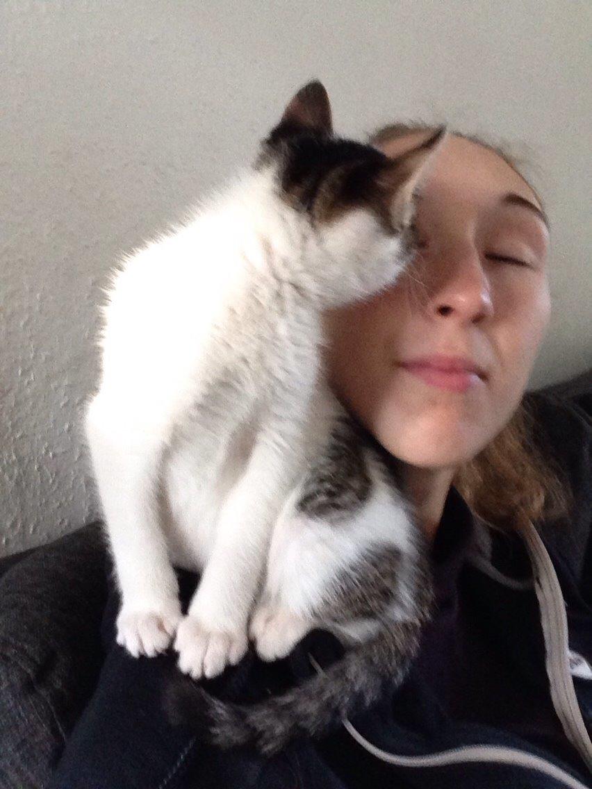 Huskat Baloo billede 10