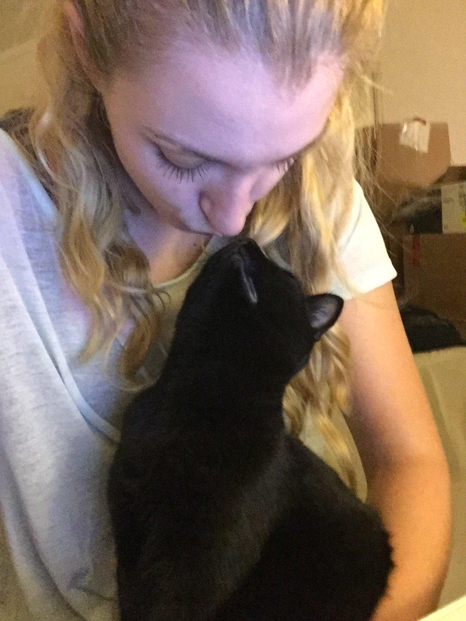 Huskat Figaro billede 23