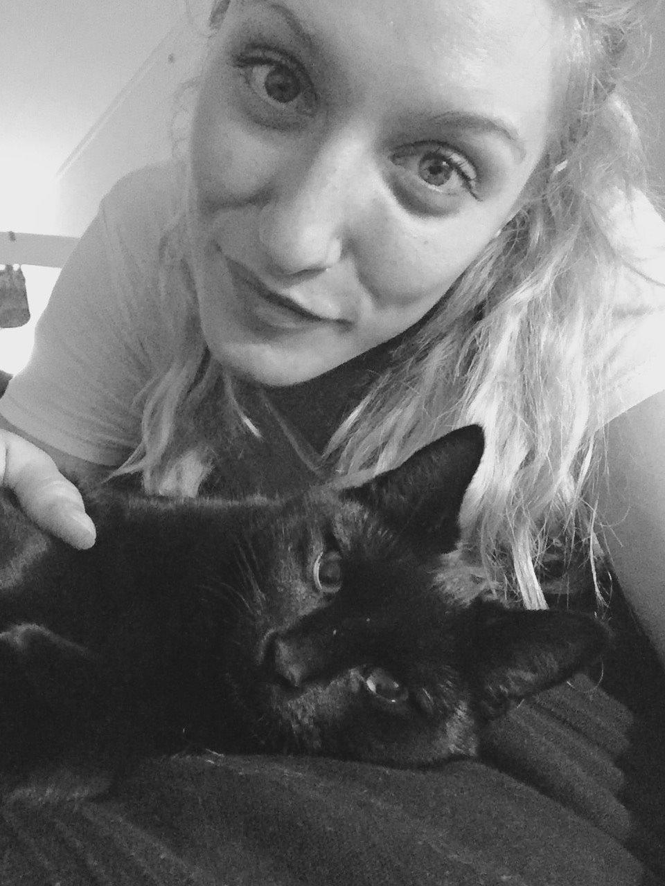 Huskat Figaro billede 24