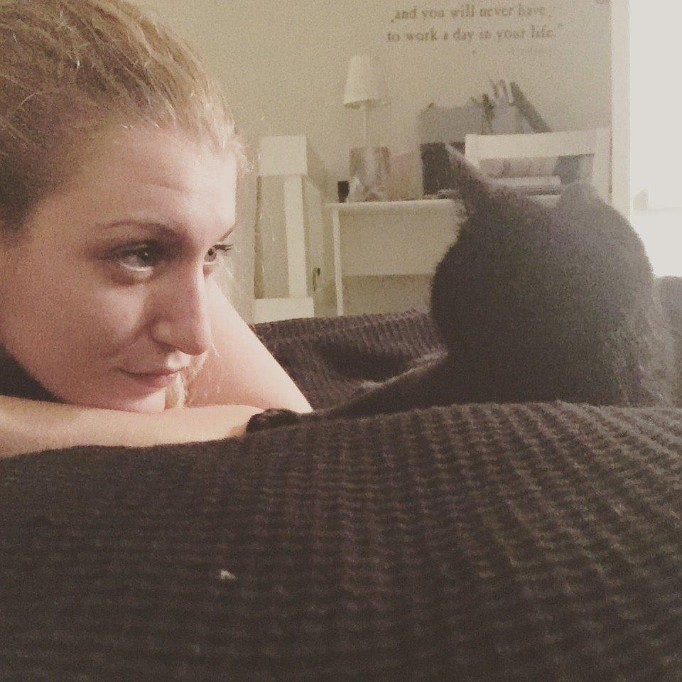 Huskat Figaro billede 25