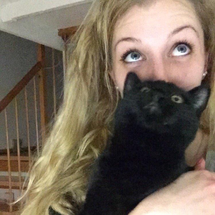 Huskat Figaro billede 26