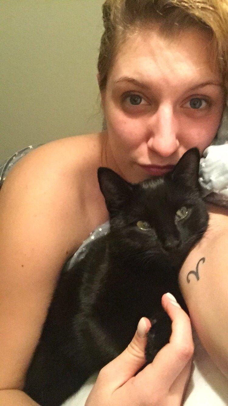 Huskat Figaro billede 30