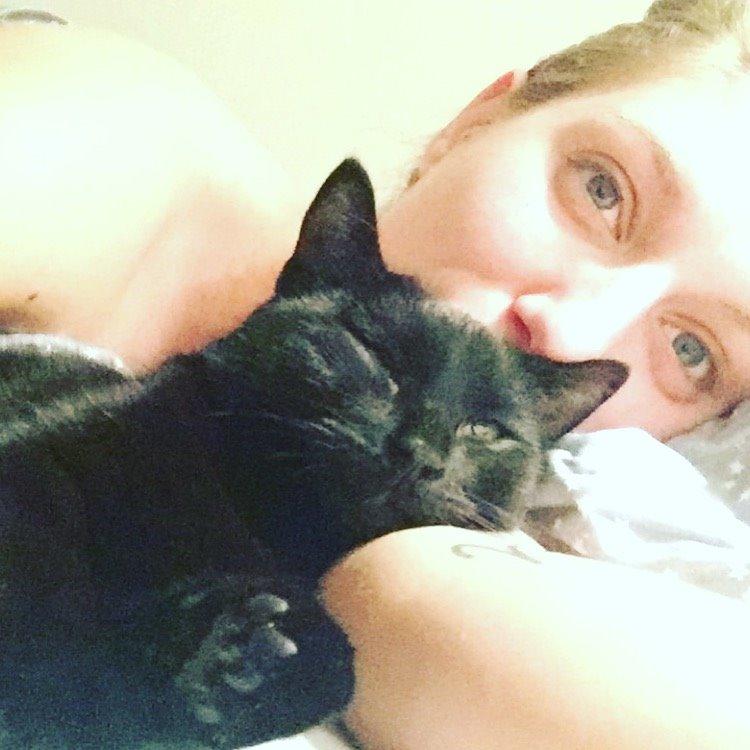 Huskat Figaro billede 31