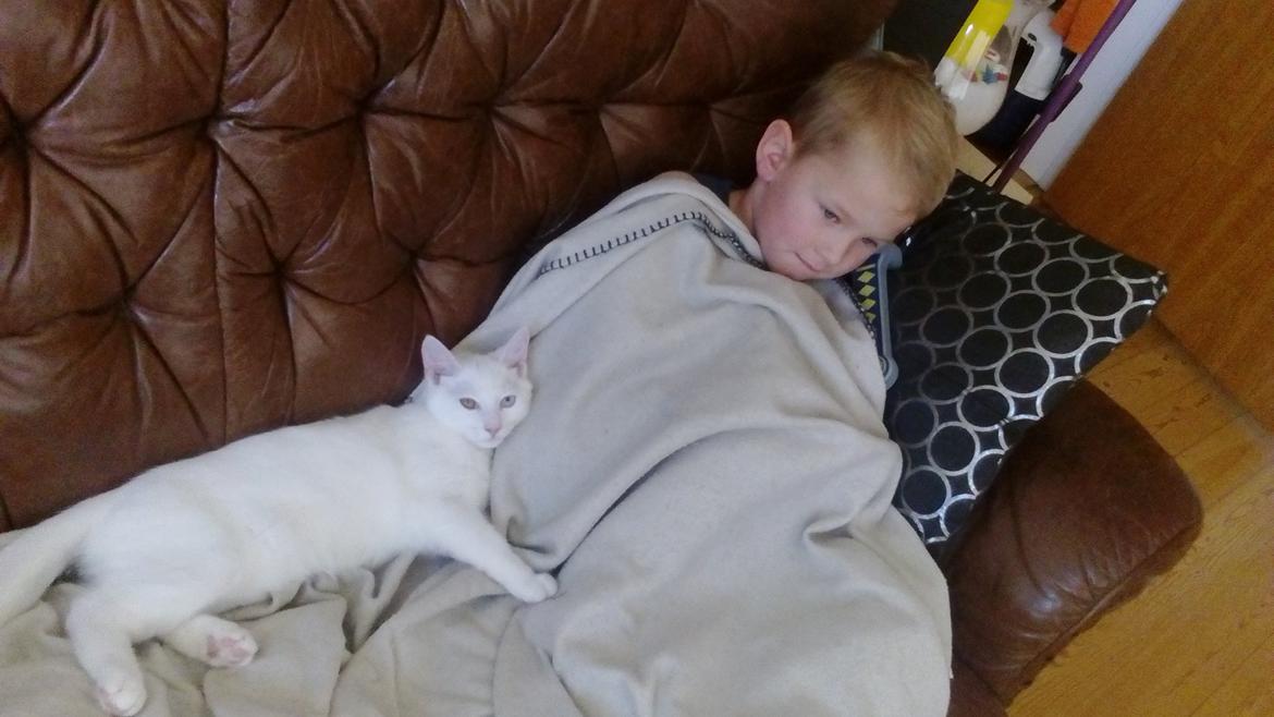 Blanding af racer Kalle - *Sygepasser* billede 3