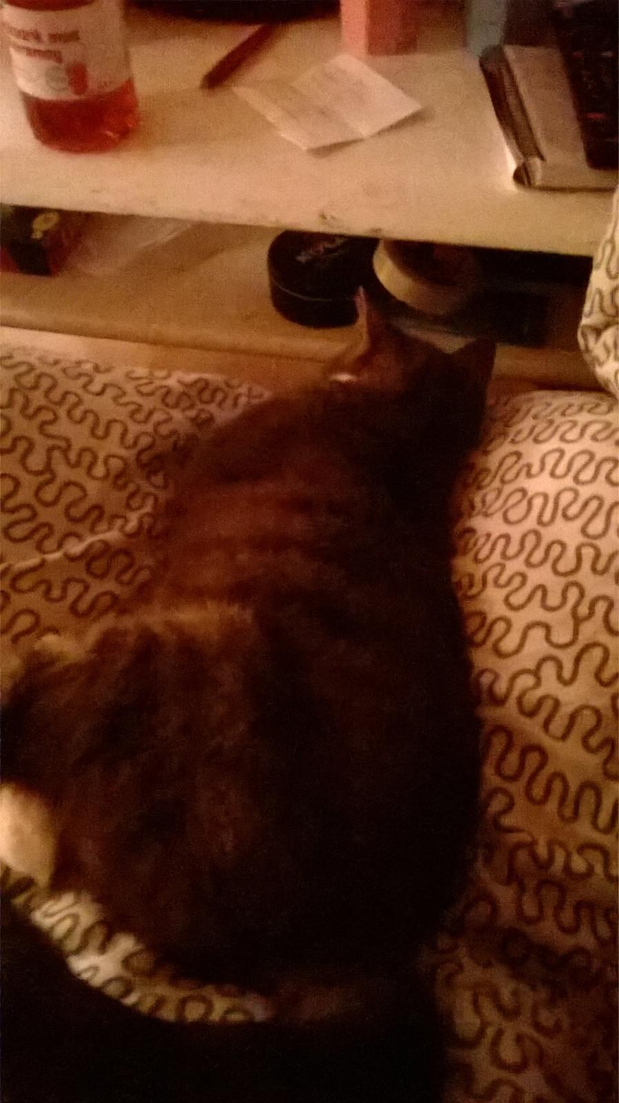 Huskat banditten billede 13