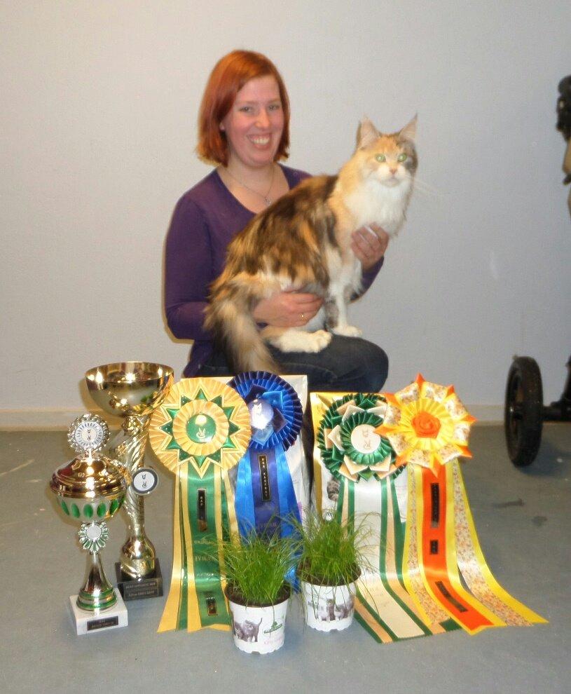 Maine Coon PR. DK Bjørnholts Eliana. 26/3 - Eliana og mig og alle hendes præmier hun vand i weekenden d. 9-10 januar 2016 😃  billede 2