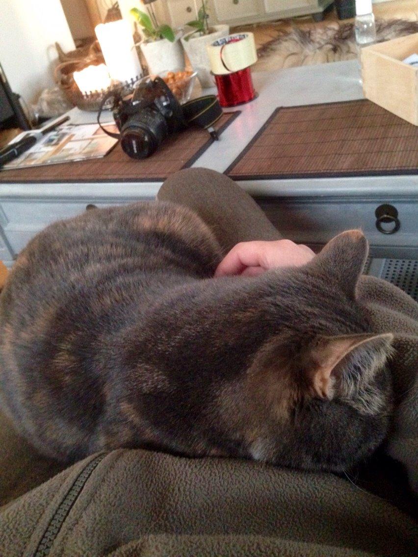 Reersø Mille *Himmelmis* billede 26