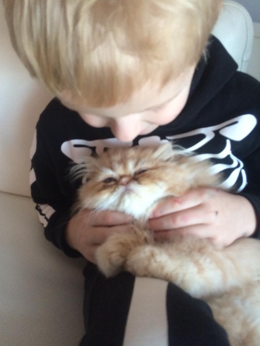 Perser Buddha No. 1 billede 9