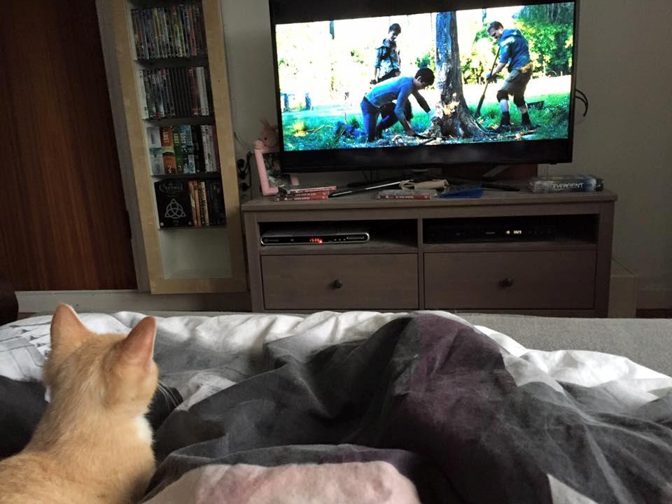 Huskat Mac billede 11