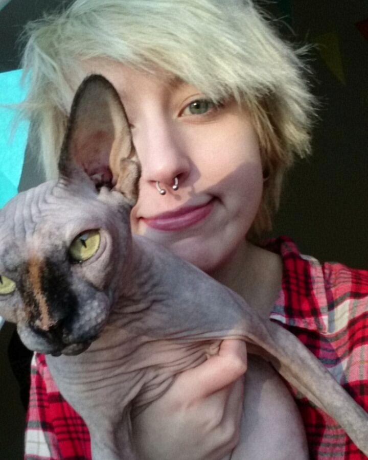 Sphynx Malou billede 5