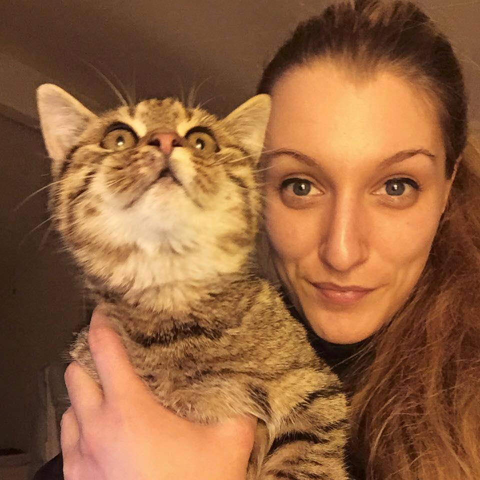 Blanding af racer Pelle Haleløs billede 7