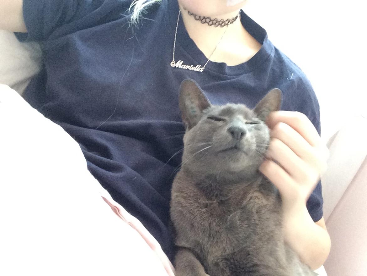 Orientaler Fister billede 11