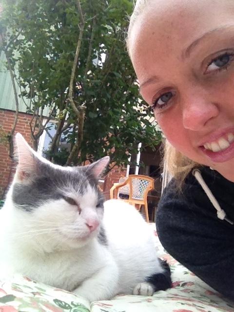 Huskat Musse billede 18