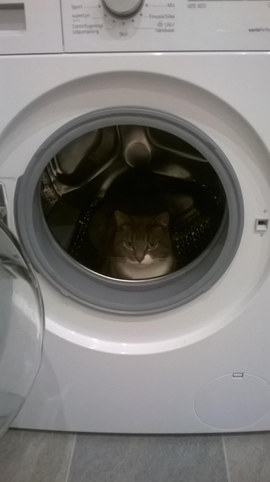 Huskat banditten billede 20