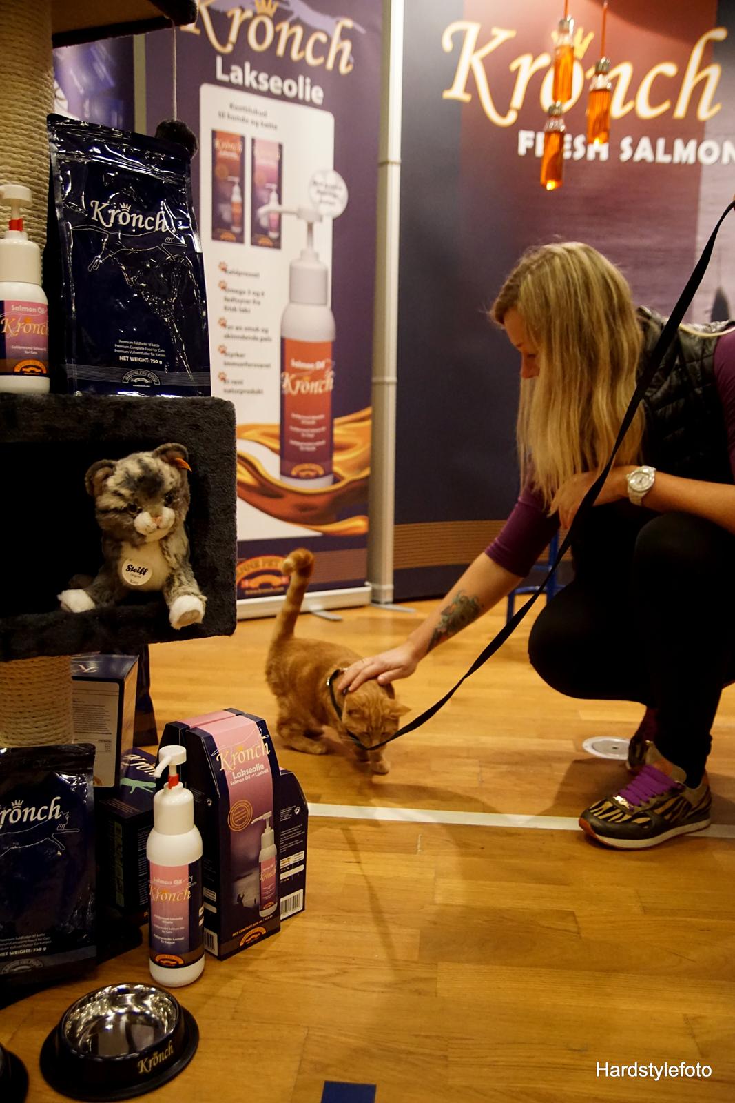 Huskat Gyda  billede 12