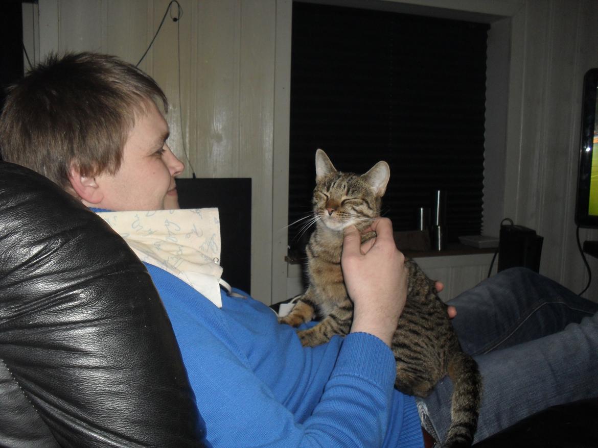 Huskat Nala - Hun elsker sin far. de bruger gerne mange timer sammen billede 39