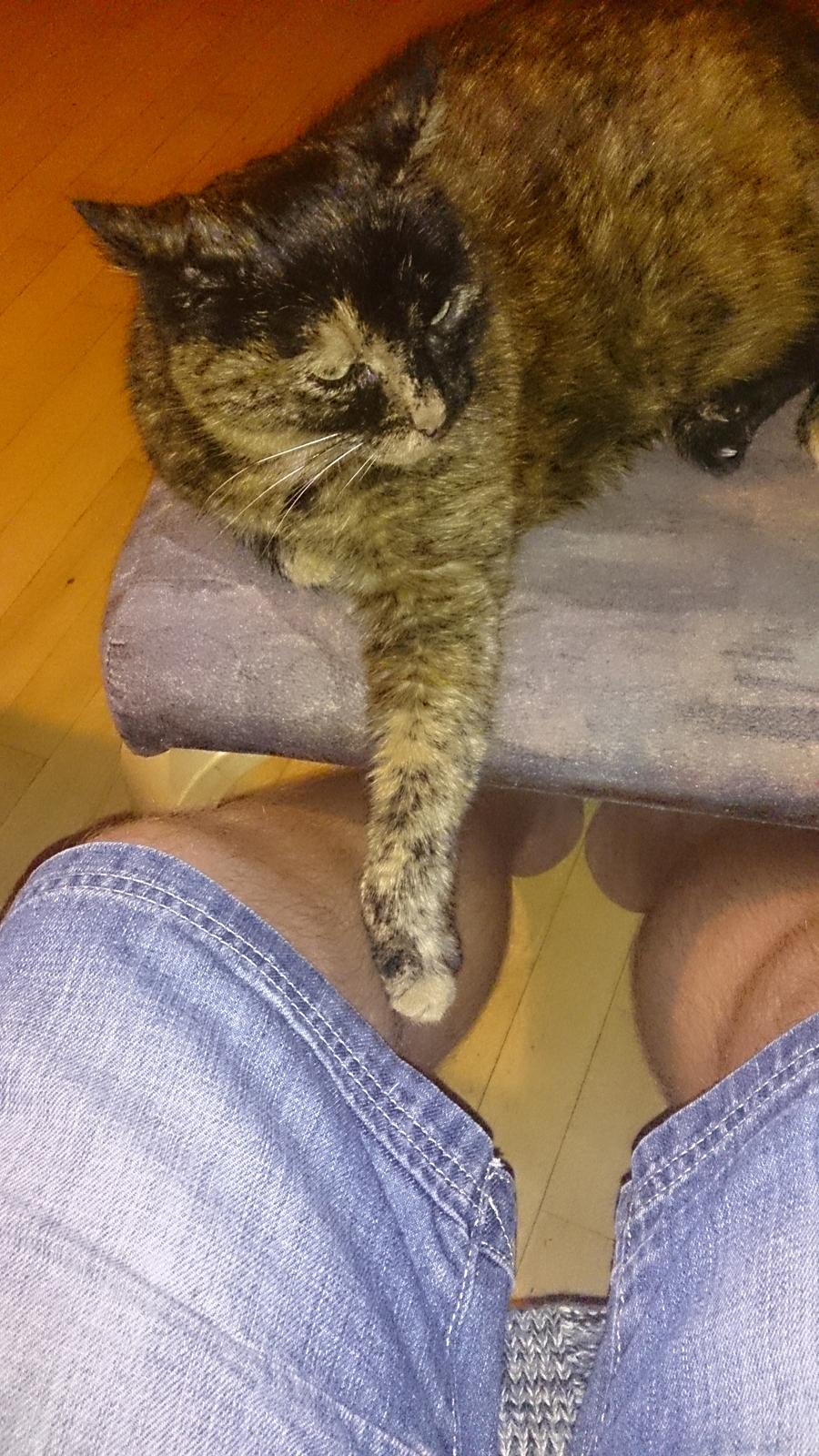 Huskat Frida billede 2