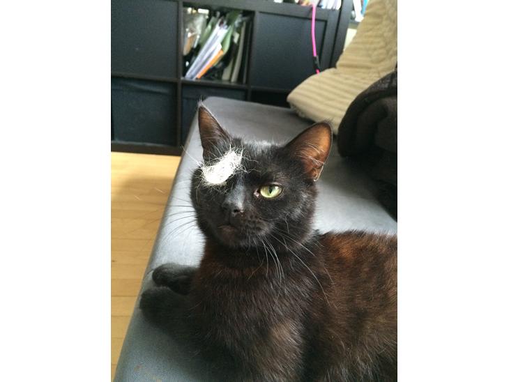 {{currentPhoto.altText}} billede {{currentPhoto.number}}