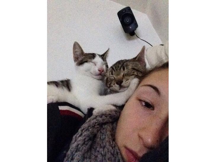 {{currentPhoto.altText}} billede {{currentPhoto.number}}