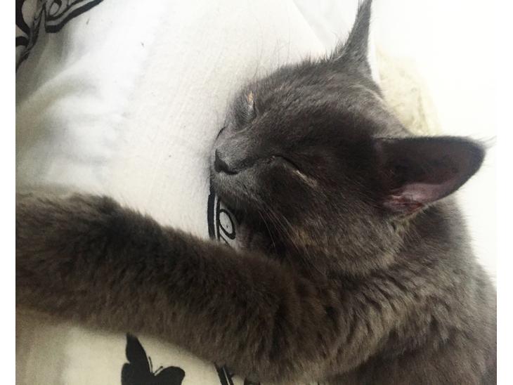 {{currentPhoto.altText}} billede {{currentPhoto.number}}