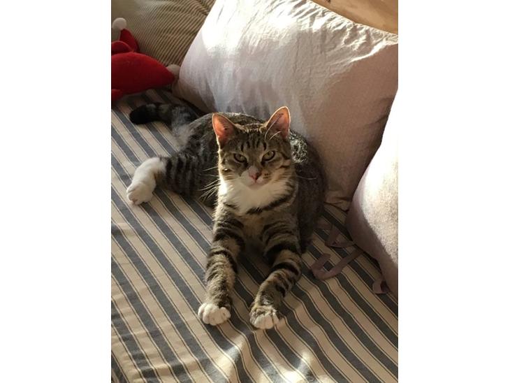 {{currentPhoto.altText}} billede {{currentPhoto.number}}