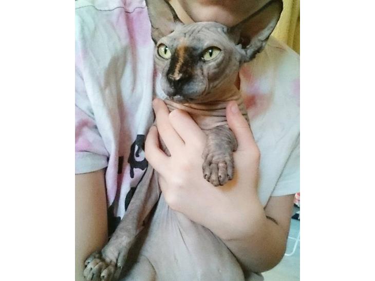 {{currentPhoto.altText}} billede {{currentPhoto.number}}