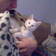 Huskat Tumle R.I.P 12/03-2012