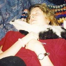 Blanding af racer Simba