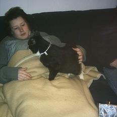 Blanding af racer boris