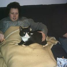 Blanding af racer boris