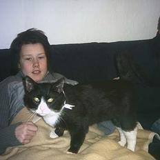 Blanding af racer boris