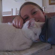 Blanding af racer Miv