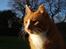 Huskat * Misser *  - Misser som fotomodel januar 08